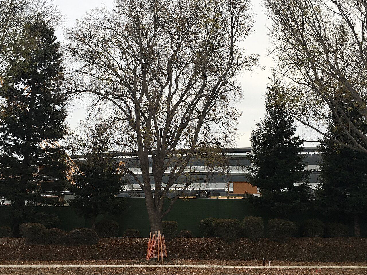 Apple Campus 2 in aanbouw, begin 2016