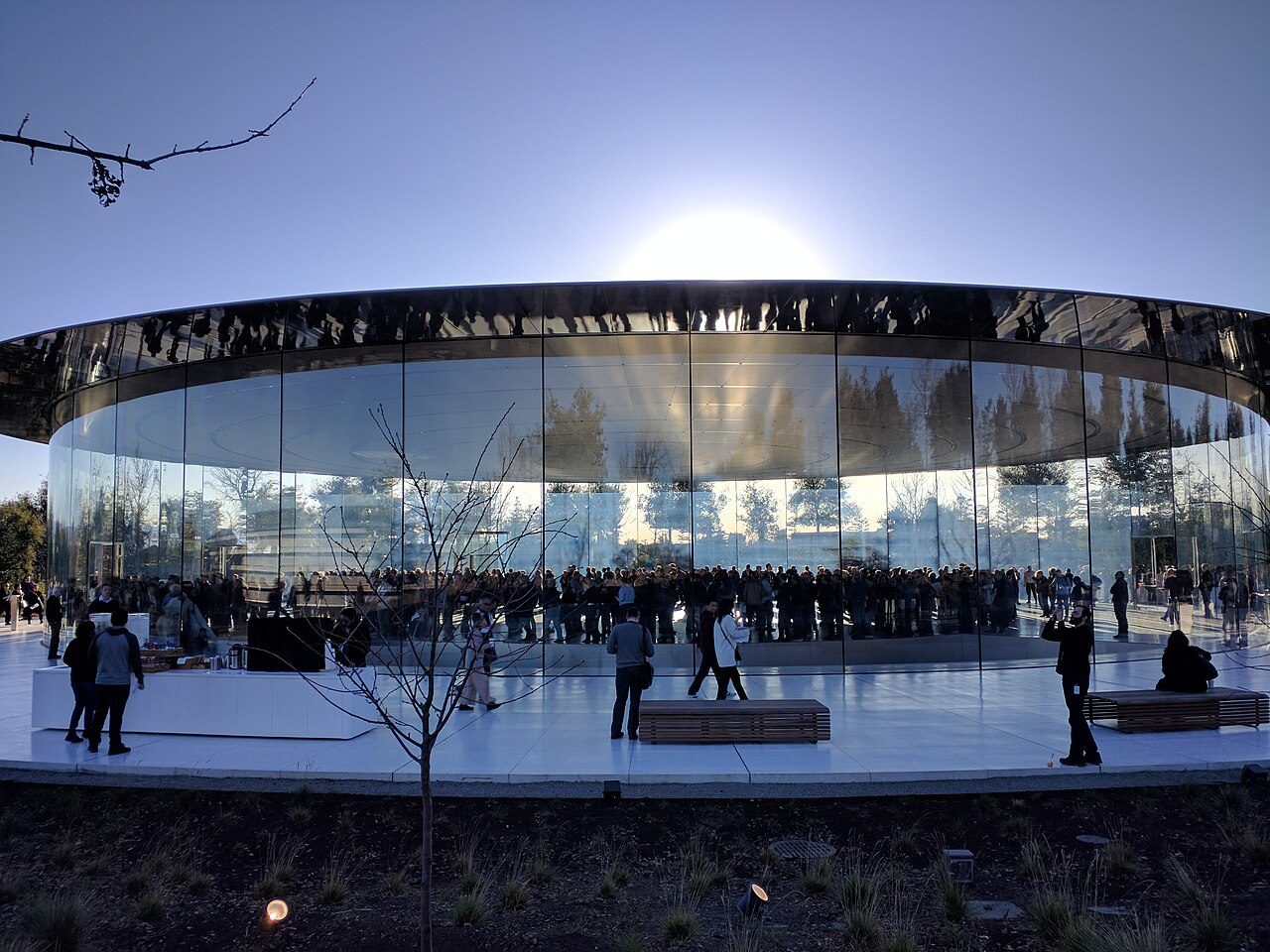 Het Steve Jobs Theater op Apple Park