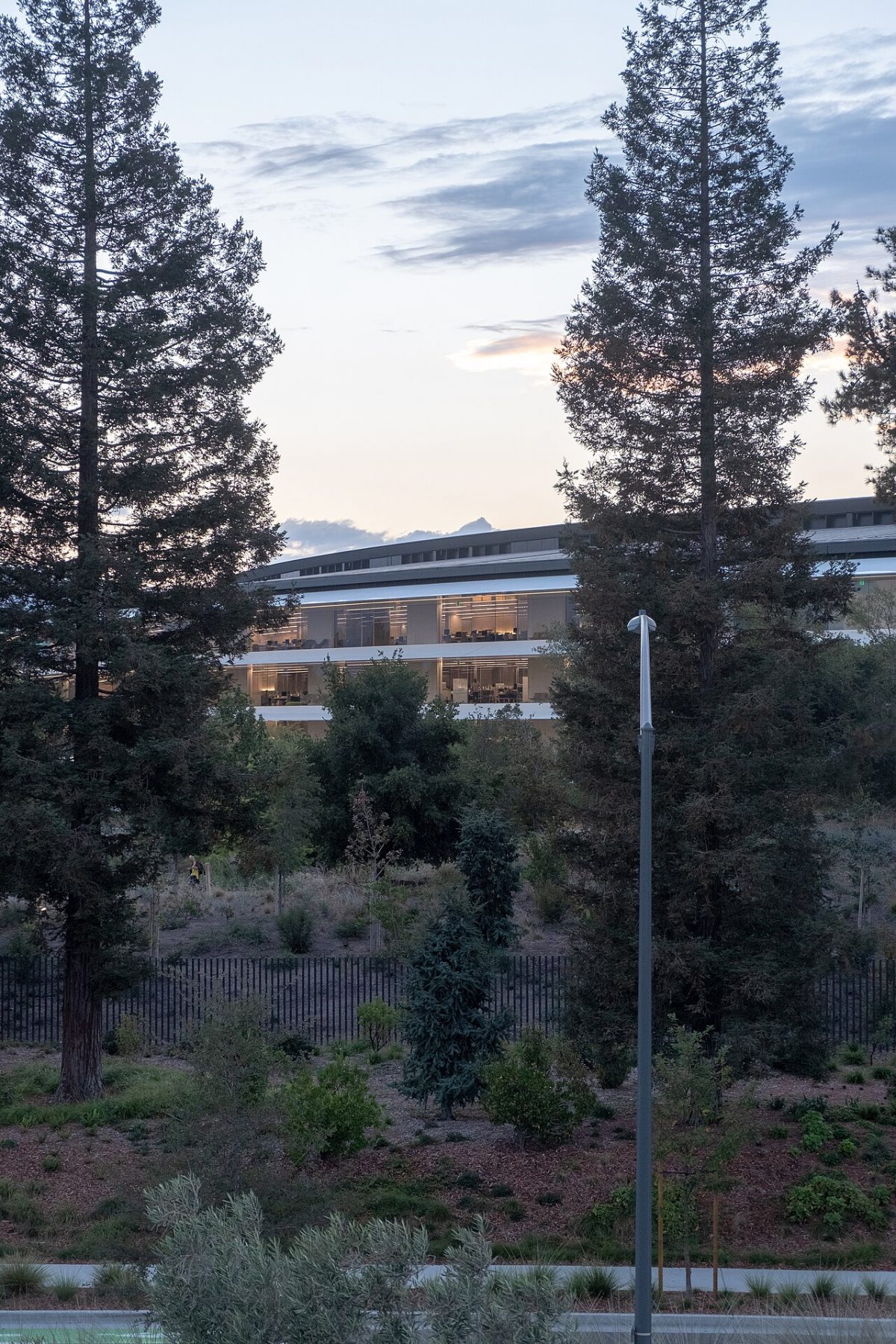 Apple Park – foto 5