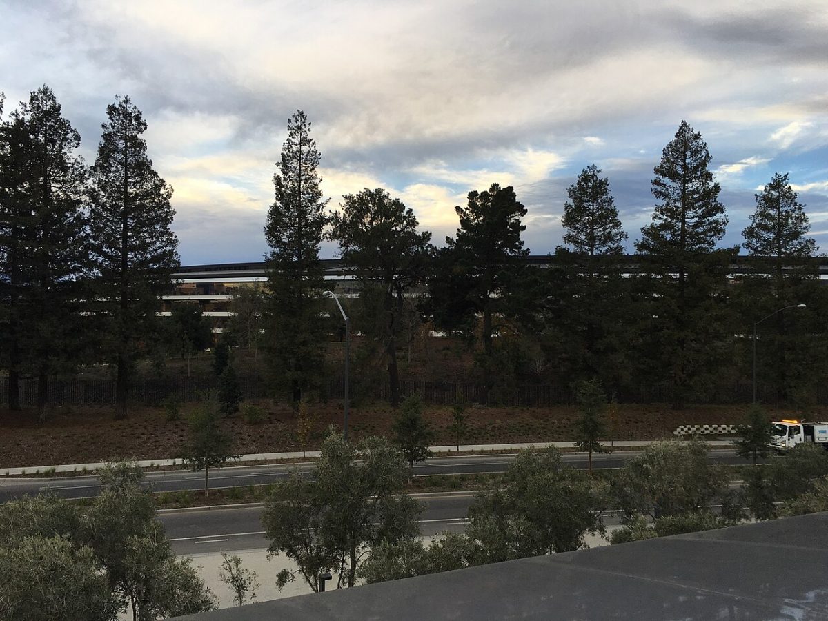 Apple Park – foto 9