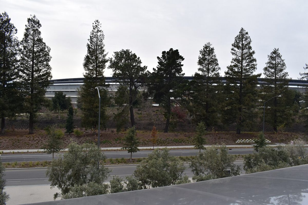 Apple Park – foto 11
