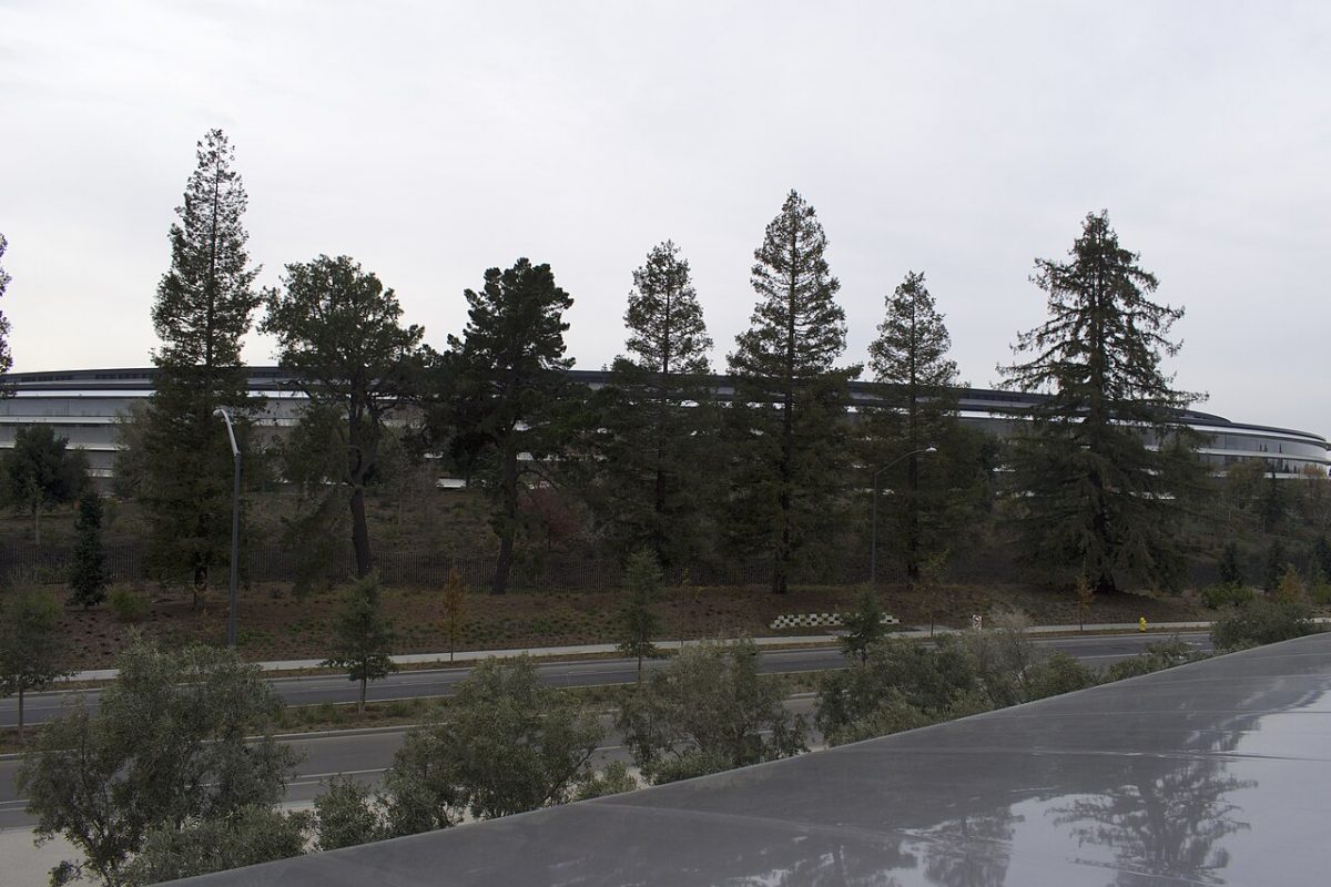 Apple Park – foto 12
