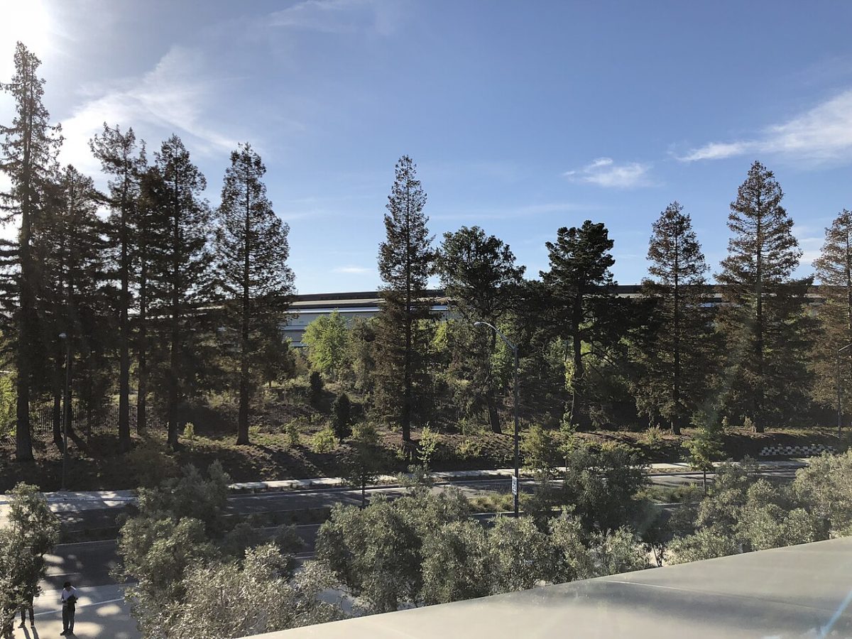 Apple Park – foto 13