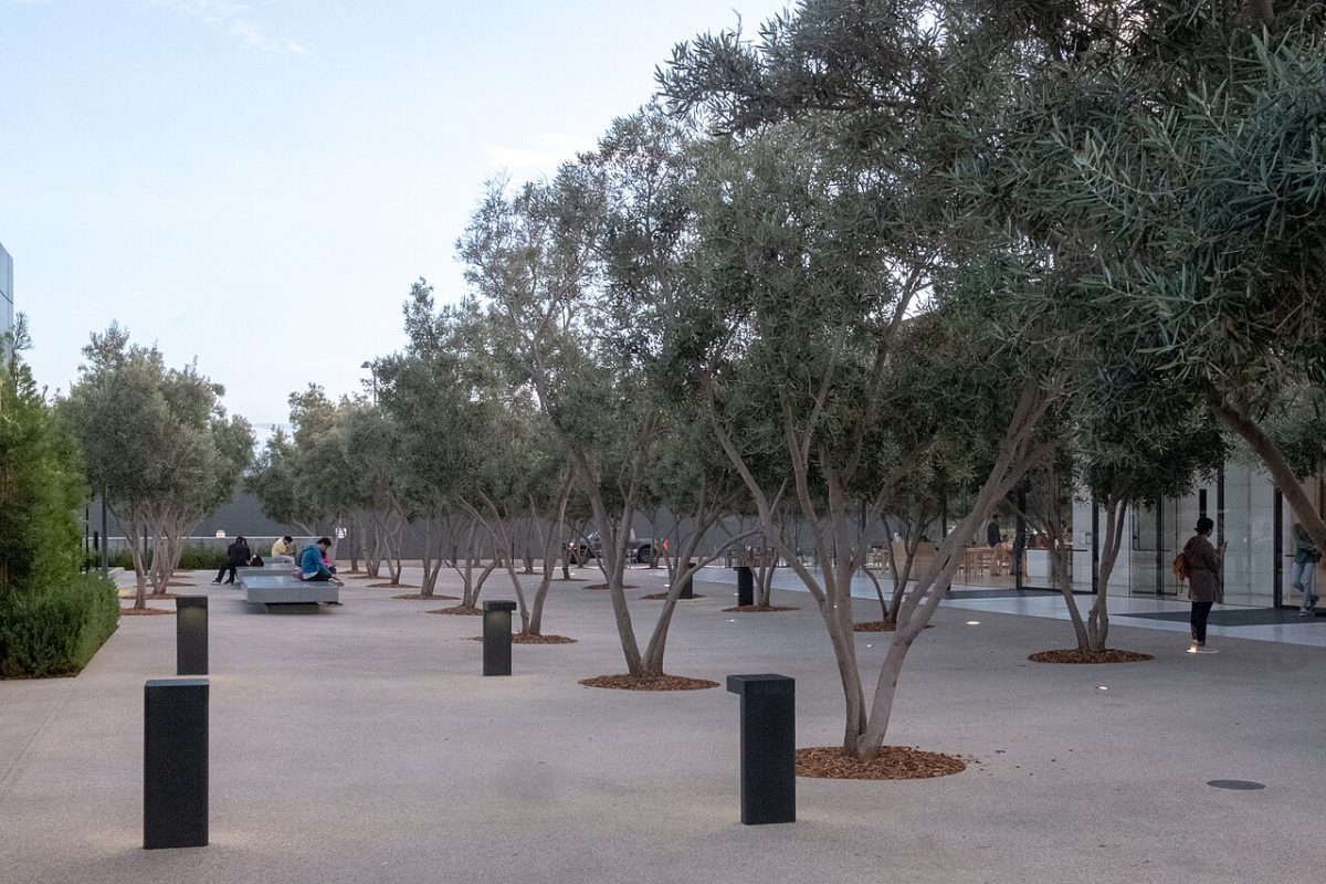 Apple Park – foto 16