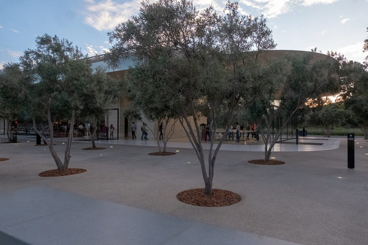 Apple Park – foto 17